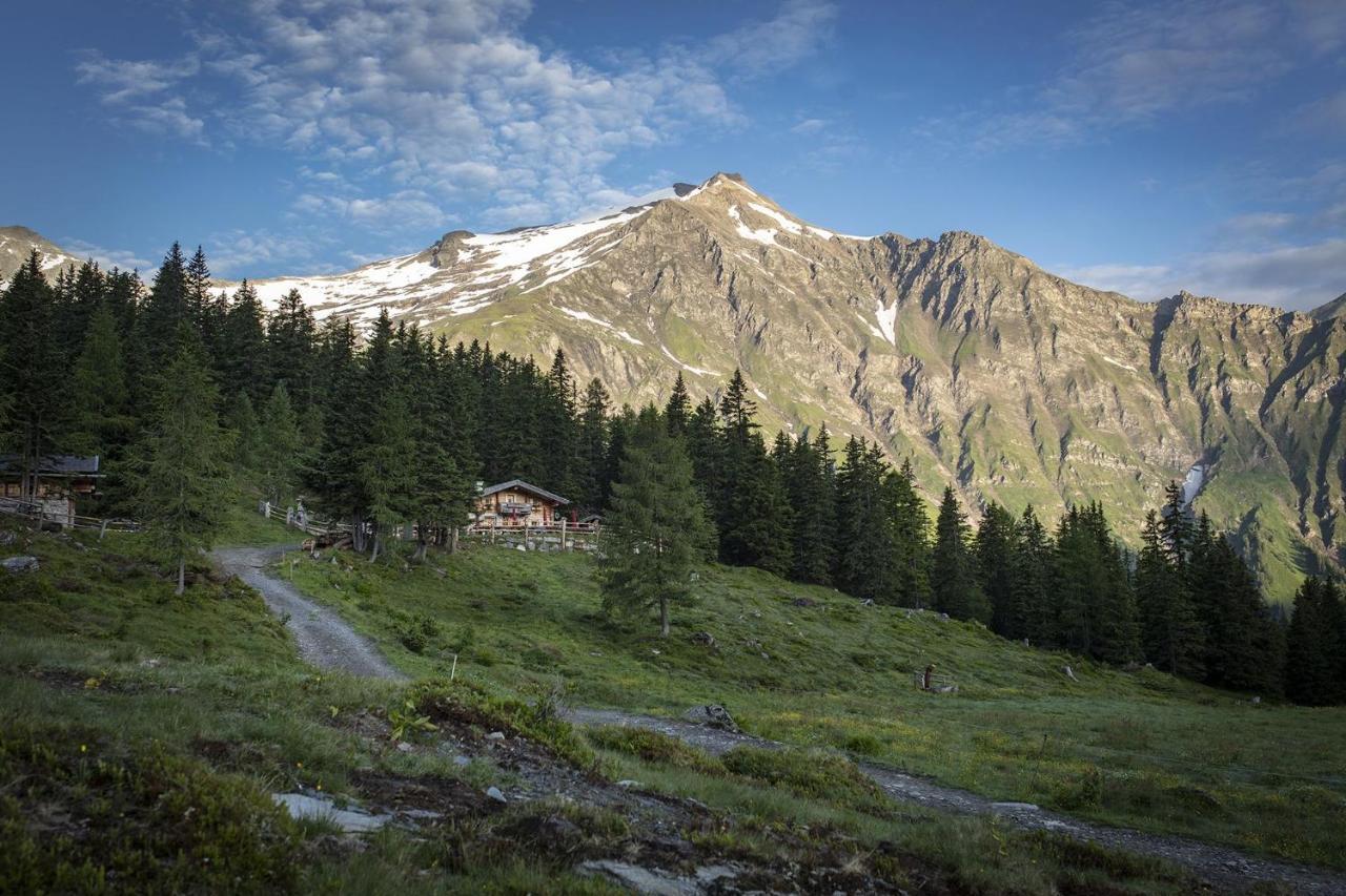 M1 - Mountain Living Daire Rauris Dış mekan fotoğraf